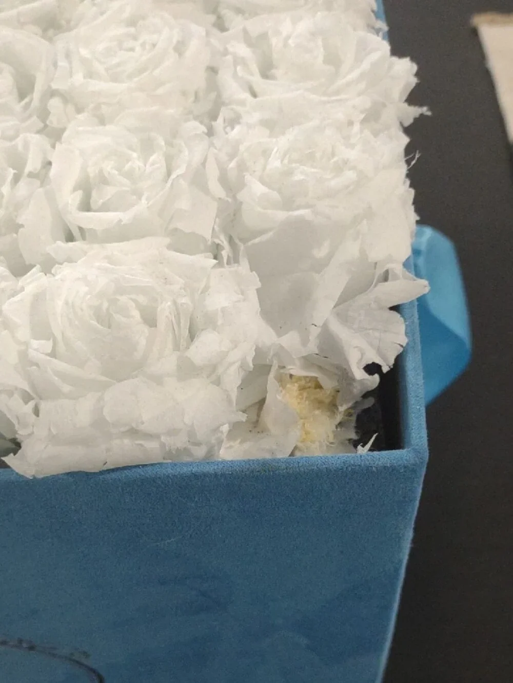 Venus et Fleur White Roses in Blue Velvet Box